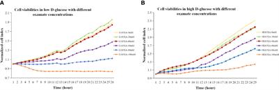 Transcriptome Analysis Reveal Candidate Genes and Pathways Responses to Lactate Dehydrogenase Inhibition (Oxamate) in Hyperglycemic Human Renal Proximal Epithelial Tubular Cells